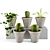 Plant Decor Vases - Indoor & Outdoor Ambience 3D model small image 2