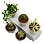 Plant Decor Vases - Indoor & Outdoor Ambience 3D model small image 3