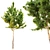 Twin Pine Trees: 7m - 14m 3D model small image 2