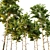 Dual Pine Trees: Height 7m-14m 3D model small image 2