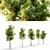 Twin Pine Trees - 5m Height 3D model small image 2