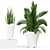 Botanical Bliss: Lush Greenery Mix 3D model small image 2