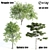 13m Vray Tree Set 3D model small image 1