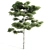 13m Vray Tree Set 3D model small image 2