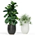 Green Oasis: 363 Plant Collection 3D model small image 2