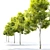  Majestic Maple Tree: 8m Height 3D model small image 2