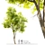 Towering Ash Tree Sculpture 3D model small image 1