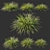 Lush Koeleria Grass 2014 3D model small image 1