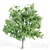 4 Variety Tree Set: Ash, Mesquite, Poplar, Pine 3D model small image 3