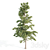 4 Variety Tree Set: Ash, Mesquite, Poplar, Pine 3D model small image 5