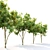 Gilded Canopy: Majestic 7m Golden Rain Tree 3D model small image 2