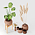 Wicker Vase Set No3: Elegant and Versatile 3D model small image 2