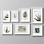 Modern Frame Set - Seven Frames in Five Colors 3D model small image 2