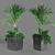 PolyCount Plant112: Unique & Detailed 3D model small image 2