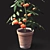 Vibrant Tomato Plant with Beautiful Vase 3D model small image 2