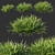 Dietes Grandiflora Grass: Stunning 3D Model 3D model small image 1