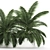 Tropical Plant Collection: Exotic Palms & Botanical Beauties 3D model small image 3