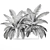 Tropical Plant Collection: Exotic Palms & Botanical Beauties 3D model small image 5