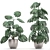 Exotic Monstera: Perfect for Indoors & Outdoors 3D model small image 1