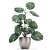 Exotic Monstera: Perfect for Indoors & Outdoors 3D model small image 2