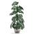 Exotic Monstera: Perfect for Indoors & Outdoors 3D model small image 3