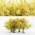 Autumn Glory Beech Tree Set 3D model small image 1