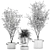 Exotic Indoor & Outdoor Tree Collection 3D model small image 5