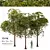 Laurus Nobilis: Round Bay Trees Set 3D model small image 1