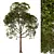 Laurus Nobilis: Round Bay Trees Set 3D model small image 3