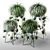 Indoor Greenery in Stylish Planters 3D model small image 1