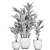 Exotic Plant Collection: Howea, Kentia & More 3D model small image 5