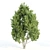 Trio of Majestic V-Ray Trees 3D model small image 2