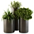 Deluxe Metal Pot Set - Outdoor Greenery 3D model small image 2