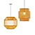 Lush Rattan Pendant Light 3D model small image 3