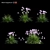 3D Plant Model Collection - Allium tanguticum 3D model small image 1
