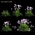 3D Plant Model Collection - Allium tanguticum 3D model small image 2