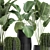 Exotic Plant Collection in Black Vase 3D model small image 3