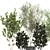 Exotic Plant Collection: Indoor & Outdoor Accent 3D model small image 3