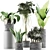Exotic Plants Collection: Alocasia, Sansevieira, Schefflera, Agave 3D model small image 1