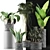 Exotic Plants Collection: Alocasia, Sansevieira, Schefflera, Agave 3D model small image 3