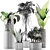 Exotic Plants Collection: Alocasia, Sansevieira, Schefflera, Agave 3D model small image 4