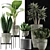 Exotic Plant Collection: Alocasia, Sansevieira, Schefflera, Agave 3D model small image 3