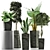 Exotic Plant Collection: Alocasia, Sansevieira, Schefflera, Agave 3D model small image 1