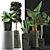 Exotic Plant Collection: Alocasia, Sansevieira, Schefflera, Agave 3D model small image 3