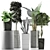 Exotic Plant Collection: Alocasia, Sansevieira, Schefflera, Agave 3D model small image 4