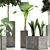 Exotic Plants Collection - Decorative Trees 3D model small image 2