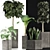 Exotic Plants Collection - Decorative Trees 3D model small image 3