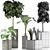 Exotic Plants Collection - Decorative Trees 3D model small image 4