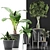 Exotic Plants Collection: 40 Varieties 3D model small image 3