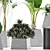 Exotic Plants Collection: Alocasia, Sansevieria, Schefflera & Agave 3D model small image 2